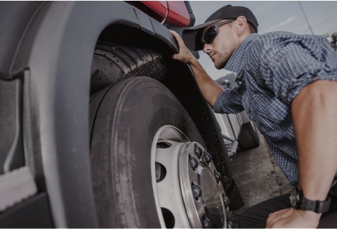 Lion Insurance Services|Lion Commercial Insurance Bakersfield